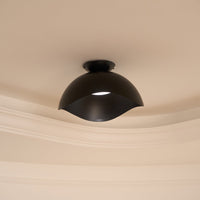 Serene Wave Ceiling Light