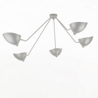 Multi-Arm Spider Ceiling Lamp B
