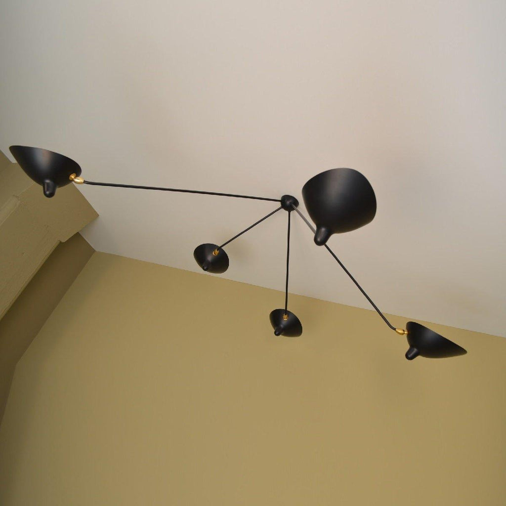 Multi-Arm Spider Ceiling Lamp B