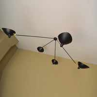 Multi-Arm Spider Ceiling Lamp B