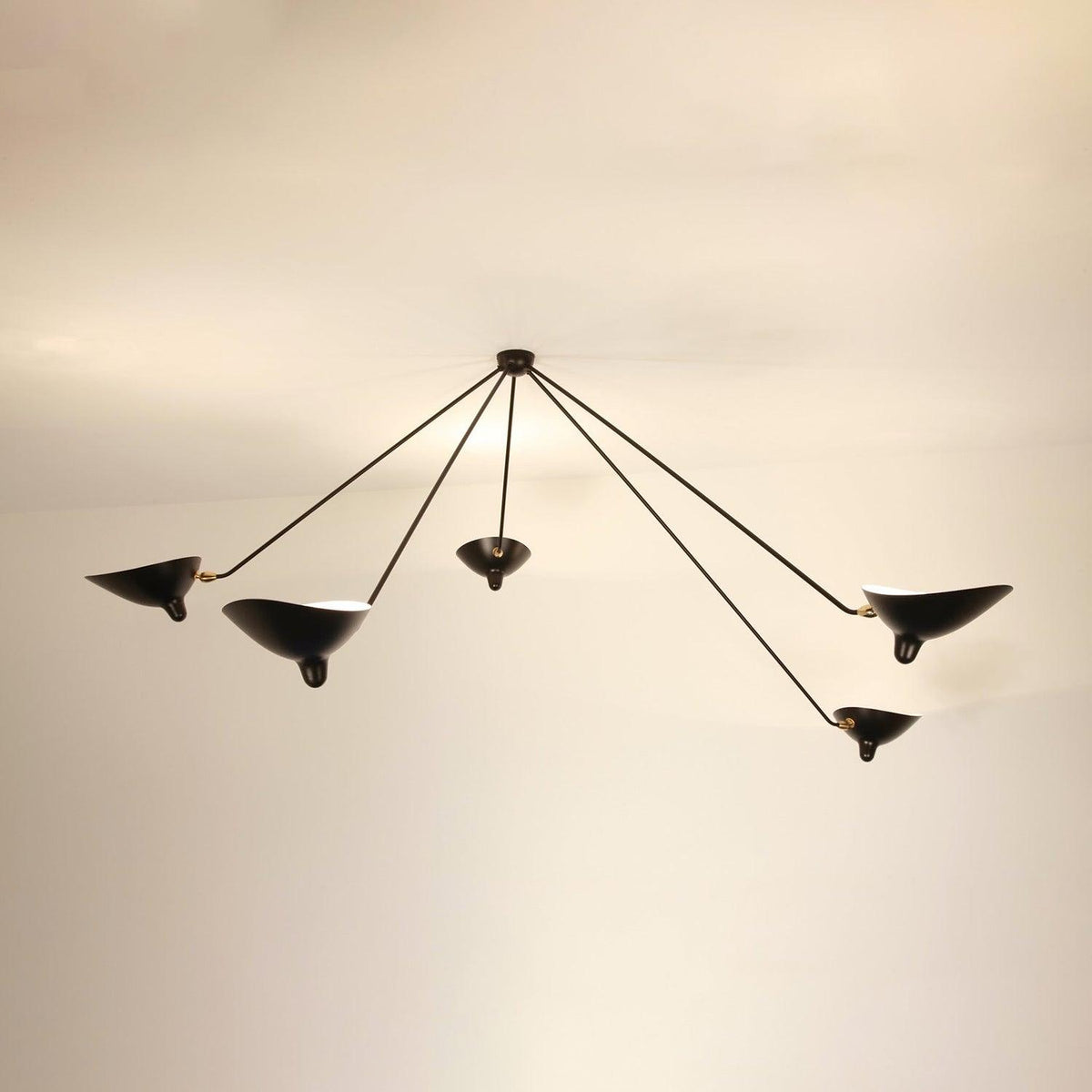 Multi-Arm Spider Ceiling Lamp B