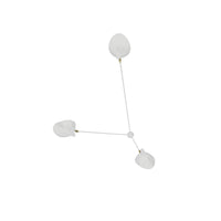 Multi-Arm Spider Ceiling Lamp B