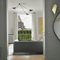Multi-Arm Spider Ceiling Lamp B