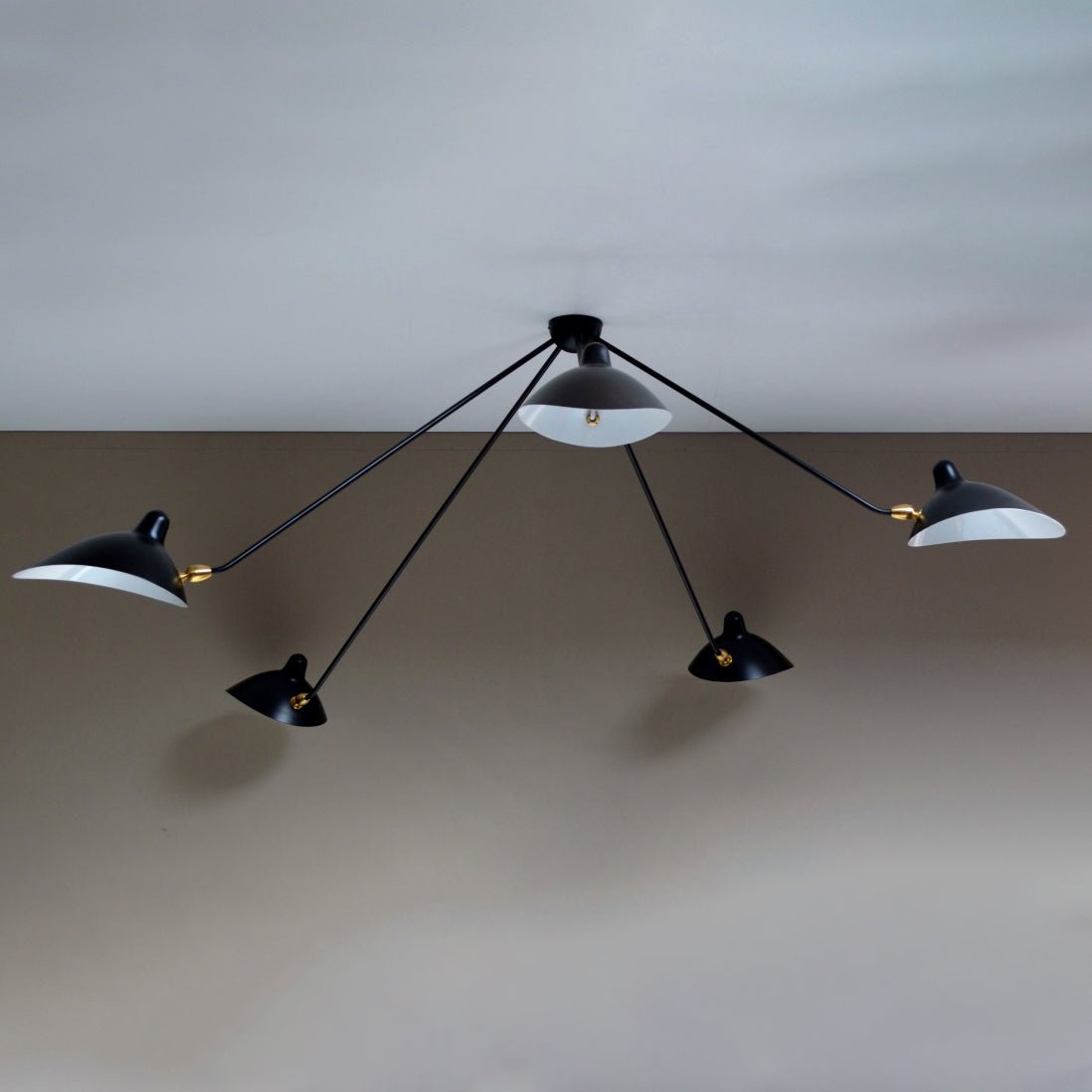 Multi-Arm Spider Ceiling Lamp B