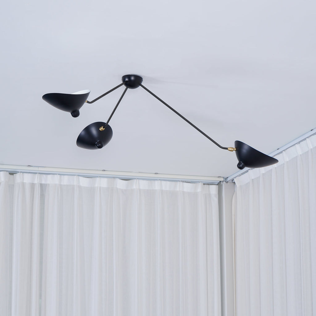 Multi-Arm Spider Ceiling Lamp B