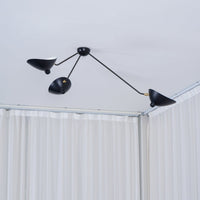 Multi-Arm Spider Ceiling Lamp B