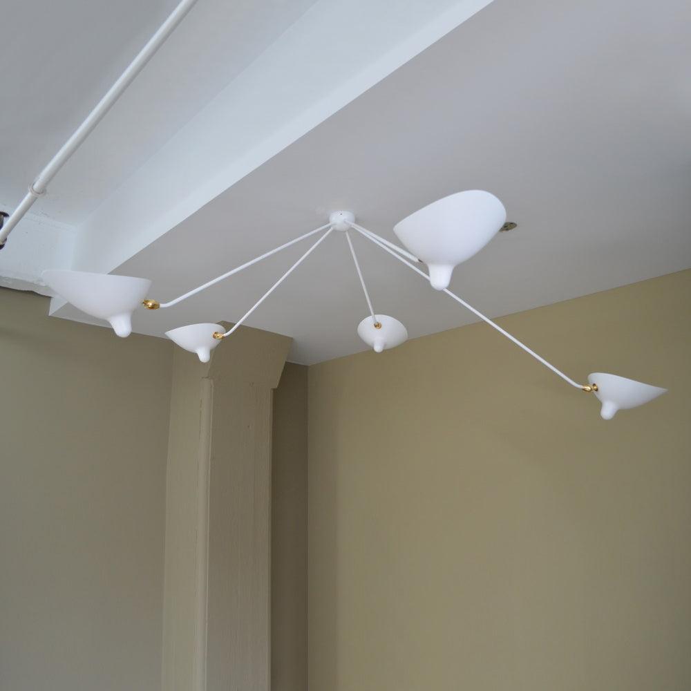 Multi-Arm Spider Ceiling Lamp B