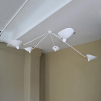 Multi-Arm Spider Ceiling Lamp B