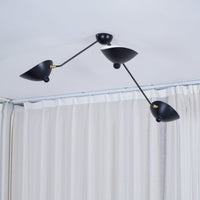 Multi-Arm Spider Ceiling Lamp B