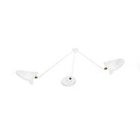 Multi-Arm Spider Ceiling Lamp B