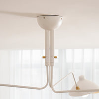 Multi-Arm Spider Ceiling Light A