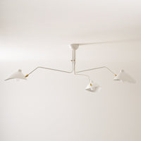 Multi-Arm Spider Ceiling Light A