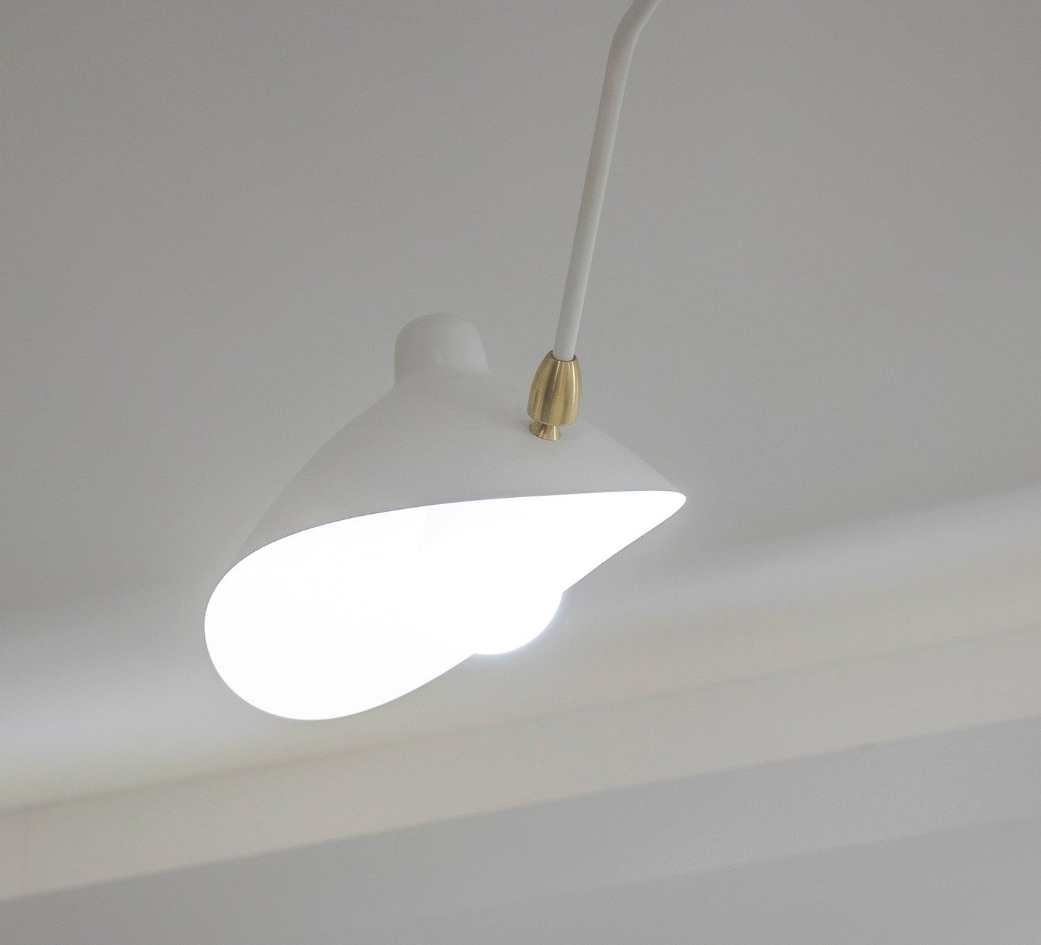 Multi-Arm Spider Ceiling Lamp B