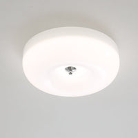 Swirl Glass Ceiling Lamp