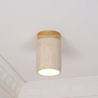 Terra Cylinder Ceiling Light