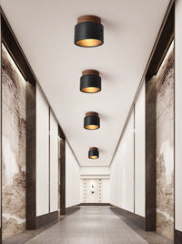 Volcanic Glow Ceiling Light
