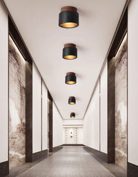 Volcanic Glow Ceiling Light