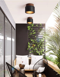Volcanic Glow Ceiling Light