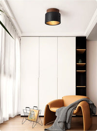 Volcanic Glow Ceiling Light