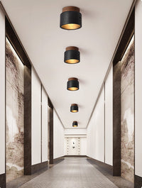 Volcanic Glow Ceiling Light
