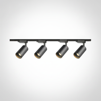 Gilded Rail Track Light, Aluminum, Integrated LED