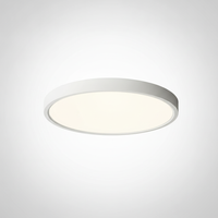 Flush Mount Ceiling Light Round Thin Acrylic