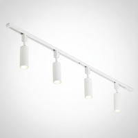 Track Light Cylinder Metal Aluminum Integrated LED