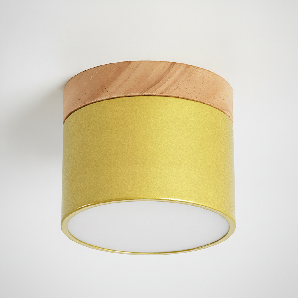 Surface Mount Downlight, Dining Room