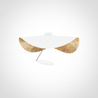 Flush Mount Ceiling Light Steel, Integrated LED, Living Room Bedroom
