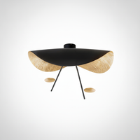 Flush Mount Ceiling Light Steel, Integrated LED, Living Room Bedroom