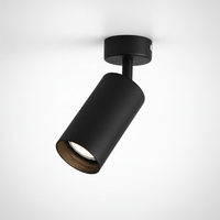 Arlo Accent Spotlight