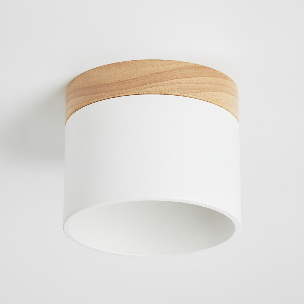 Surface Mount Downlight, Dining Room