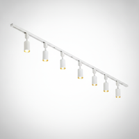 Track Light Cylinder Metal Aluminum Integrated LED