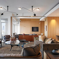 Multi-Arm Spider Ceiling Light A