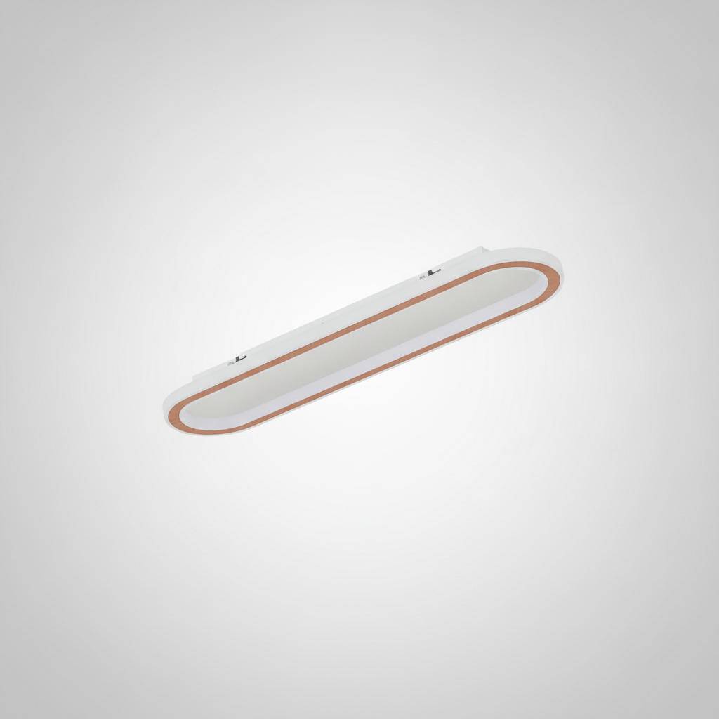 Plafonnier LED Ovale Minimaliste