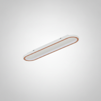 Plafonnier LED Ovale Minimaliste