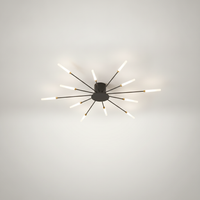 Plafonnier Feux d'Artifice Design Artistique