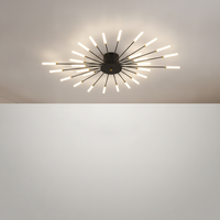 Plafonnier Feux d'Artifice Design Artistique